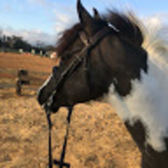 Meet your Posher, Jennifer - Picture 1 of 1